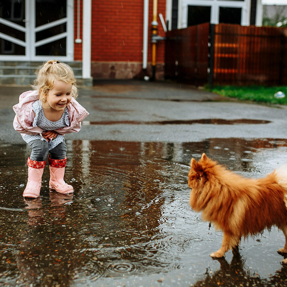 Une jeune fille jouant joyeusement avec un chien dans une flaque d'eau