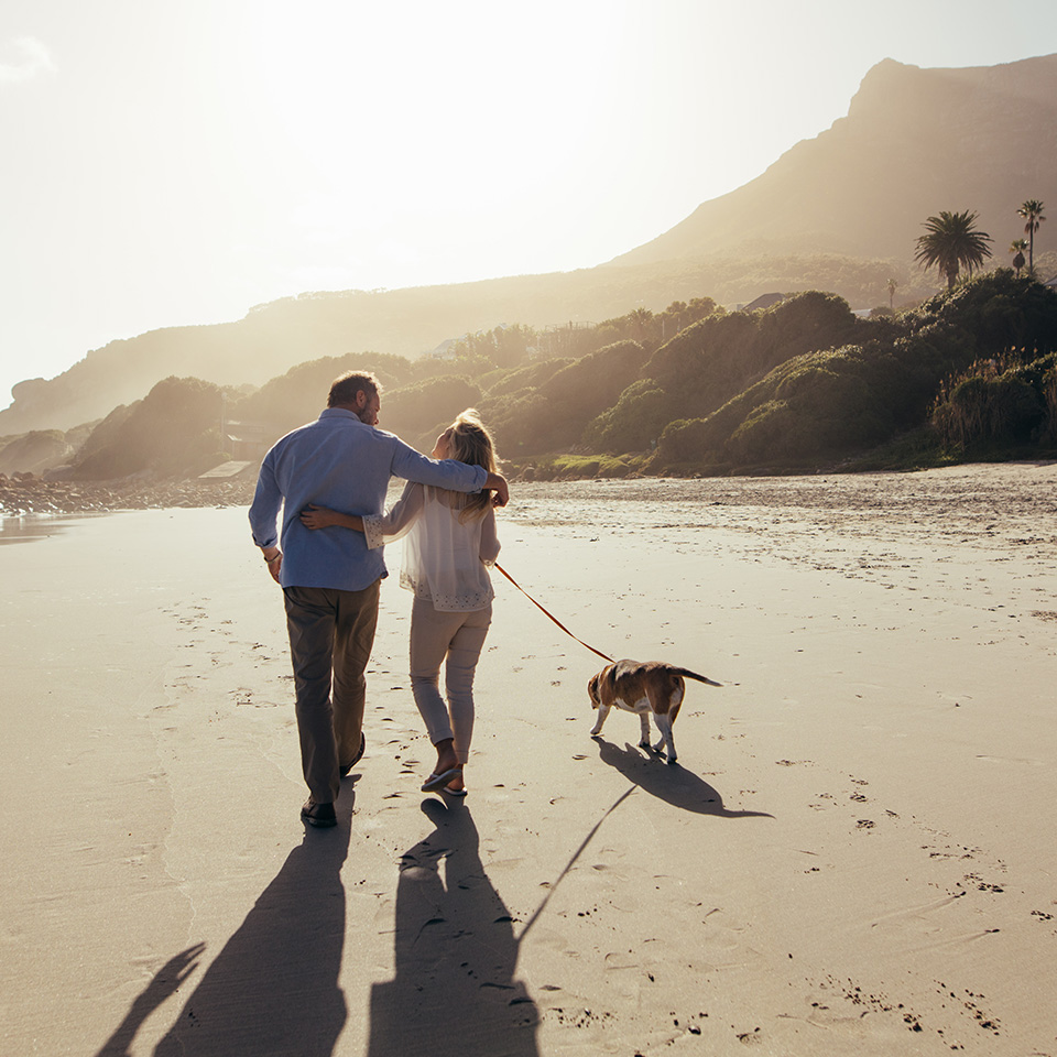 Un couple se promenant le long du rivage avec leur chien, profitant d'une promenade paisible sur la plage.